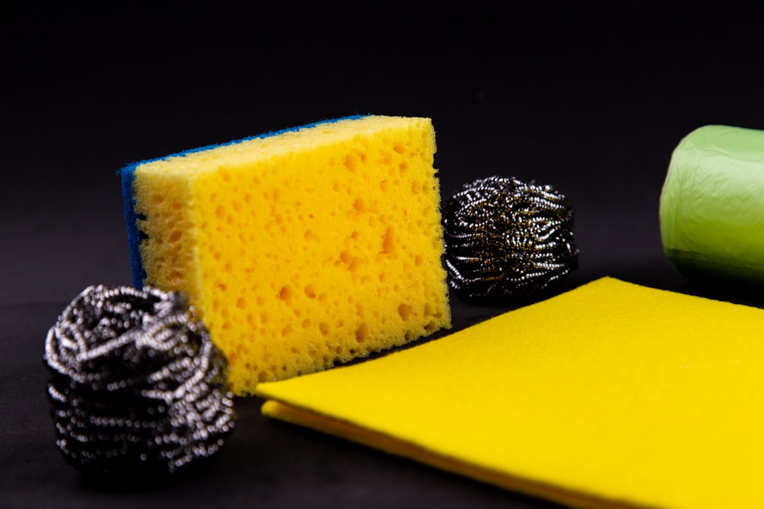 Keeping Your Home Clean Tips for Maintenance