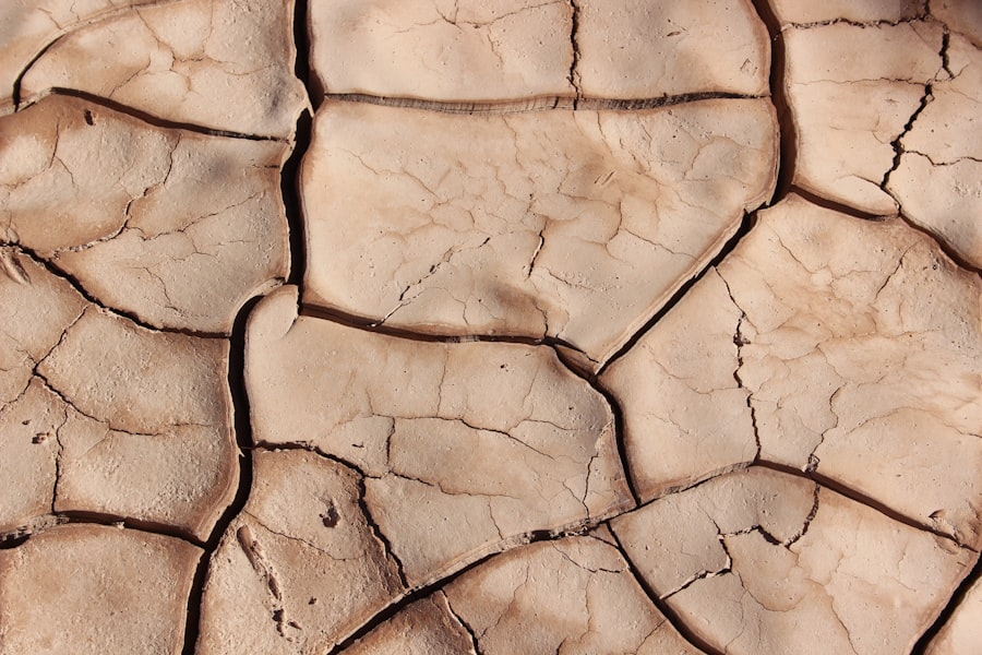 Cracked, dry earth; a symbol of drought and the need for water conservation.